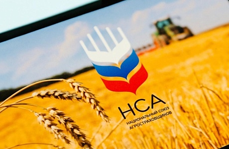 НСА: с 2023 года застраховавшие урожай зернопроизводители получат повышенные субсидии на производство 